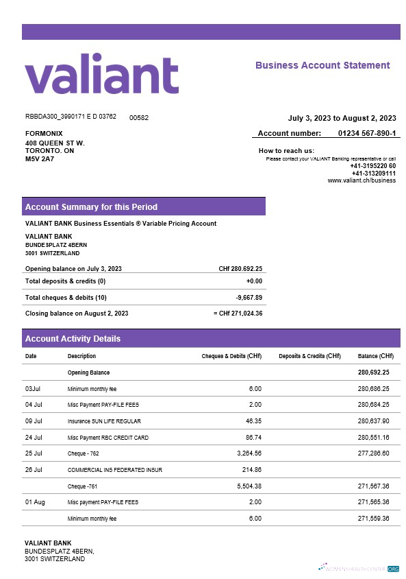 Download Valiant Bank enterprise account statement Word and PDF template Photoshop template